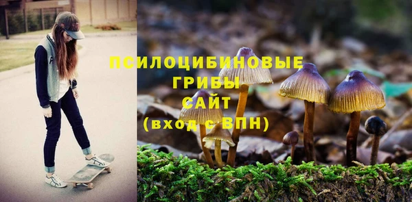 apvp Мегион