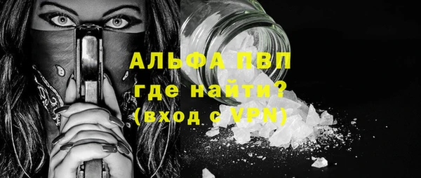 шишки Магас