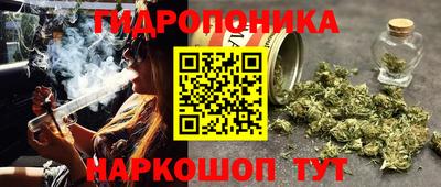гашик Конаково