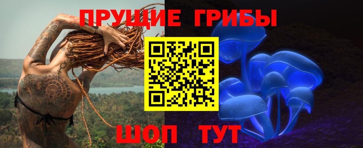 Нарткала  Галлюциногенные грибы MAGIC MUSHROOMS  Вход с VPN  Псилоцибиновые грибы Psilocybine cubensis 